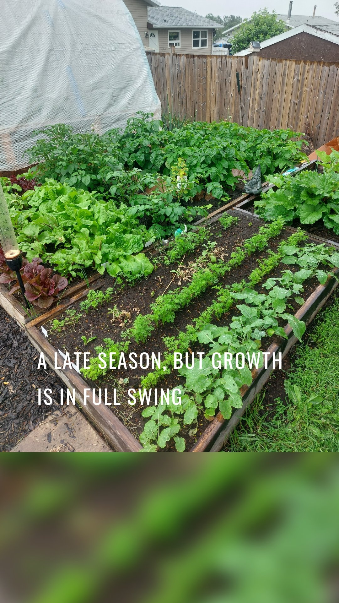 A late season, but growth is in full swing